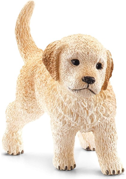 Farm World Yavru Golden Retriever