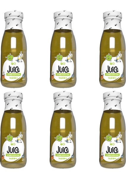 6'lı Yeşil Elma Suyu 250 ml