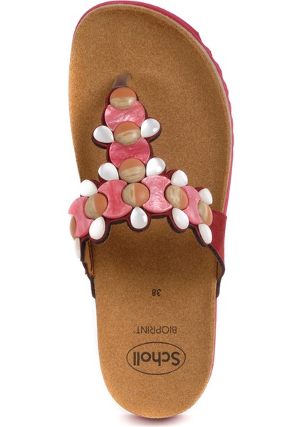 31330 Scholl Sintra Flip Kadın Parmak Arası Mantar Terlik 36-41 modelleri