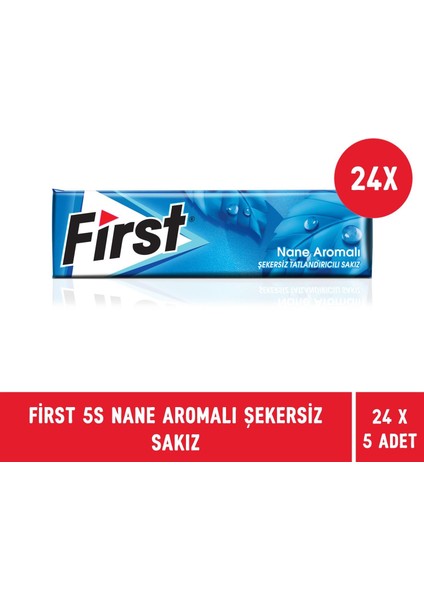 5s Keskin Nane Aromalı Şekersiz Sakız - 24 Adet