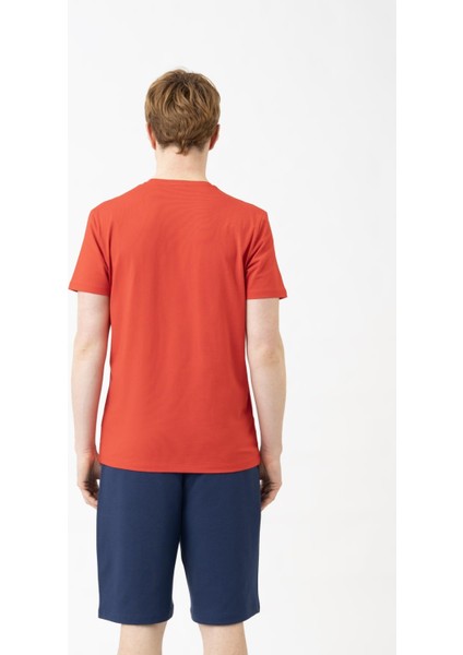 BNT-M21172 Benetton Tişört modelleri