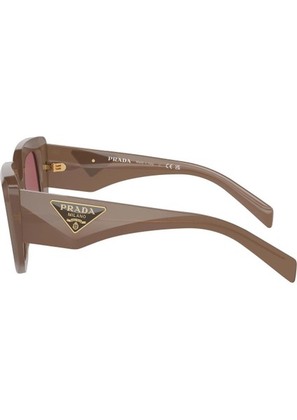 Sps 14ZS 11S08S .50 Güneş Gözlüğü modelleri