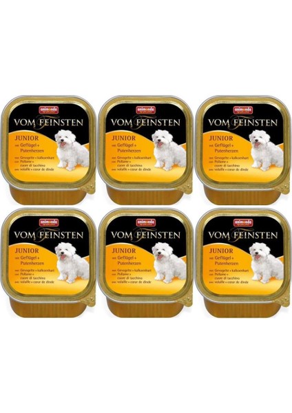 6 Adet Animonda Junior Kümes Hayvanı ve Hindili Köpek Konserve Maması 150 gr Skt :12/2025