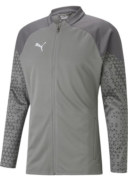 Teamcup Training Jacket Erkek Futbol Antrenman Ceketi 65798313 Gri