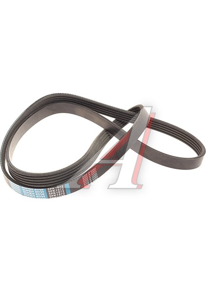 Chevrolet Aveo 1.4 V Kayış Continental