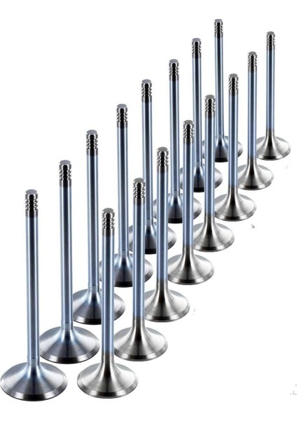 Opel Corsa C 1.2 1.4 Motor Subap Takımı Lpg Li