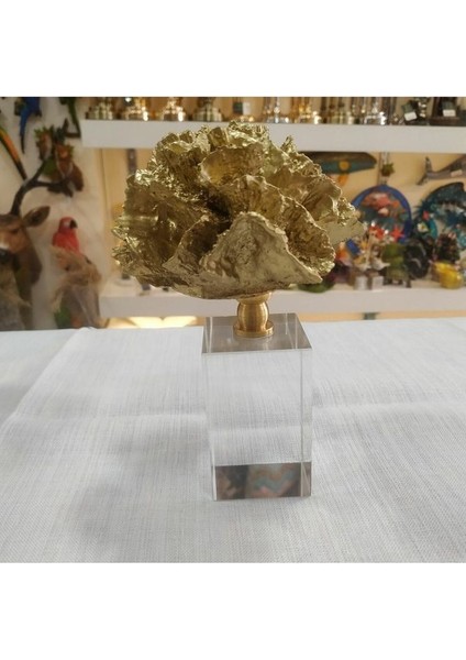 Kristal Kaideli Gold Mercan