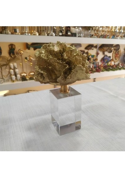 Kristal Kaideli Gold Mercan fiyatları