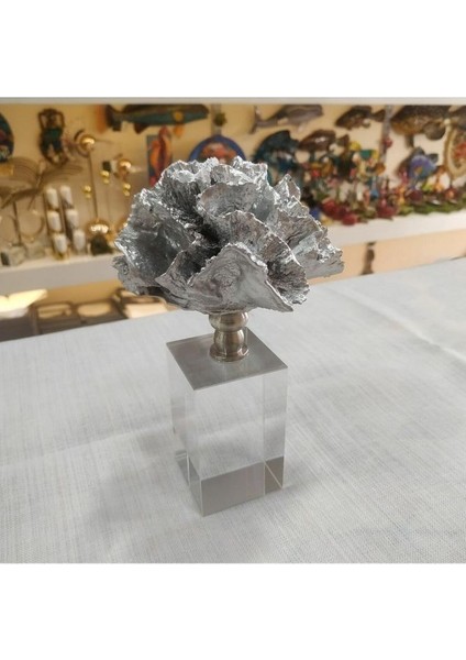 Kristal Kaideli Gümüş Mercan fiyatları