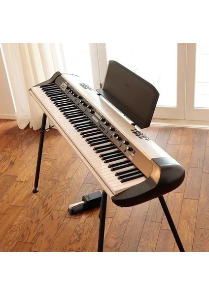 Sv2-73 S Korg