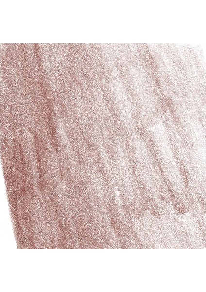 Pitt Monochrome Boya Kalem A. Sepia Med.