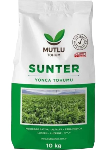 Sunter Kapsız Yonca Tohumu 1 kg Ilaç Kaplamasız Yonca Tohumu