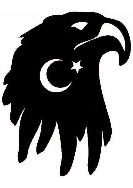 Ayyıldız ve Kartal Oto Kaput Sticker 40 x 40 cm fiyatları