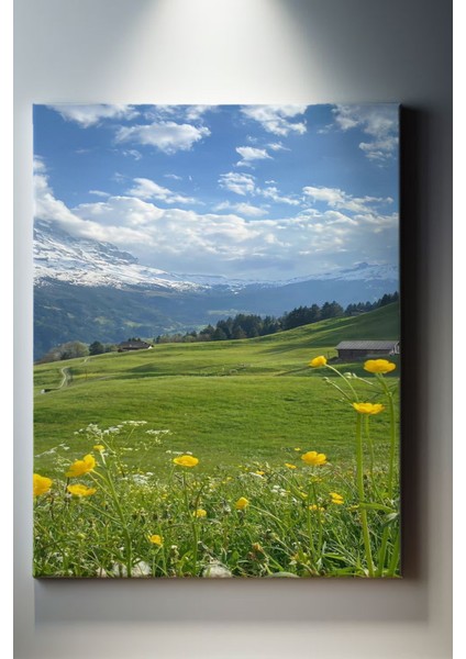 Manzara Temalı, Mera Tablo-48