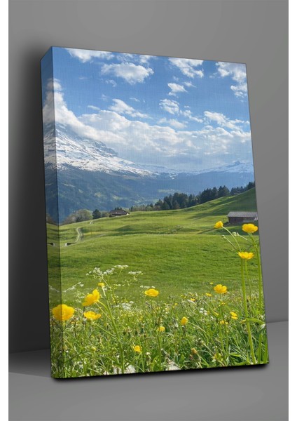 Manzara Temalı, Mera Tablo-48 fiyatları