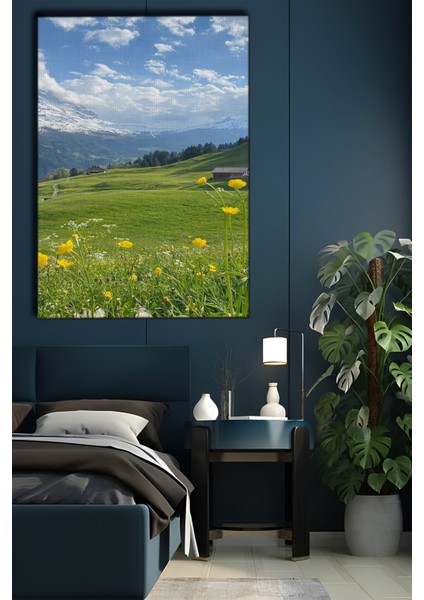 Manzara Temalı, Mera Tablo-48 modelleri