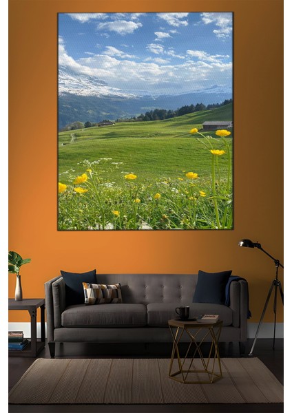 Manzara Temalı, Mera Tablo-48 indirimleri