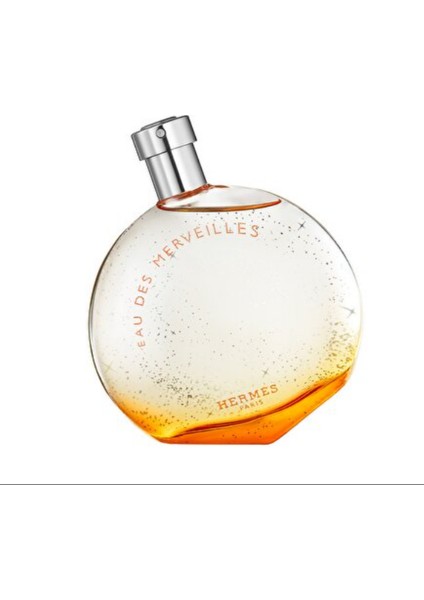 Hermès Eau Des Merveilles Eau De Toilette 100ML
