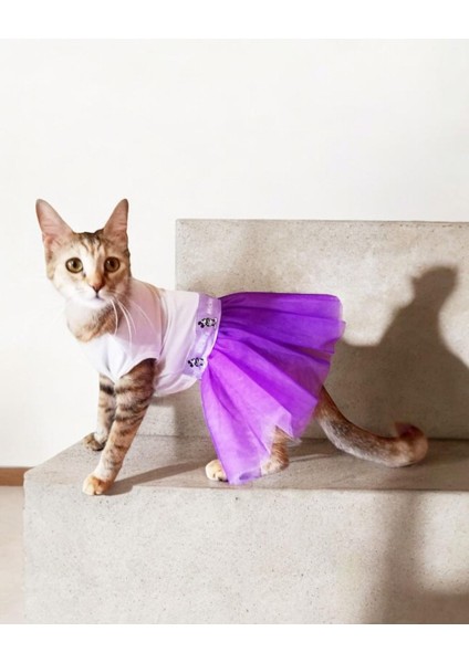 Eflatun Sevimli Fare Tütülü Kedi Elbisesi, Kıyafeti Tutu