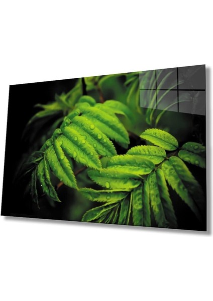 Miyrem Glasses Collection -A1^# Su Damlası Yeşil Yapraklar Cam Tablo, Cam Tablo