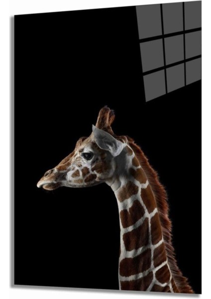 Miyrem Glasses Collection -A1^# Zürafa 3 Hayvan Cam Tablo