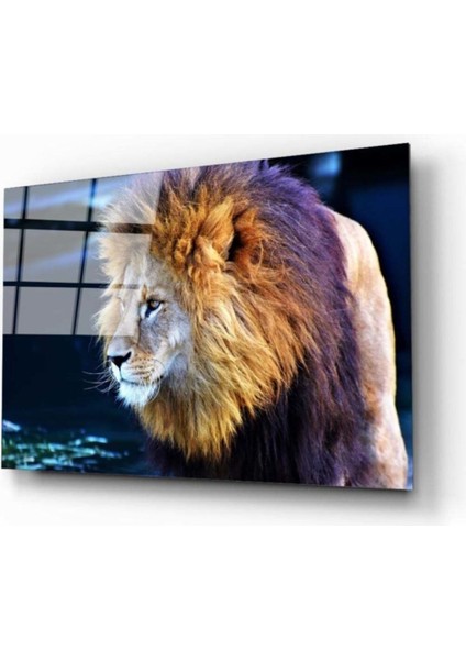 Miyrem Glasses Collection -A1^# Aslan 2 Cam Tablo