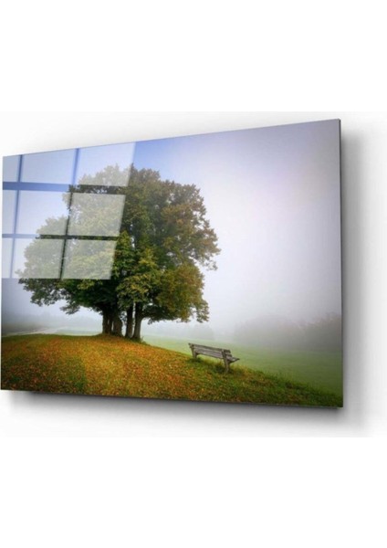 Miyrem Glasses Collection -A1^# Çınar Cam Tablo