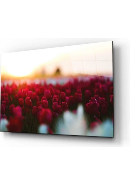 Miyrem Glasses Collection -A1^# Doğa Manzara Cam Tablo