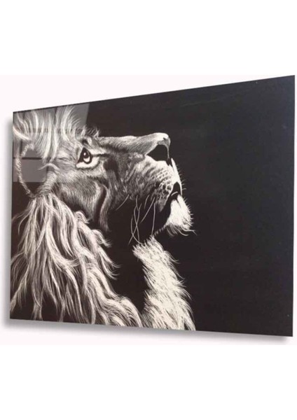 Miyrem Glasses Collection -A1^# Aslan Cam Tablo