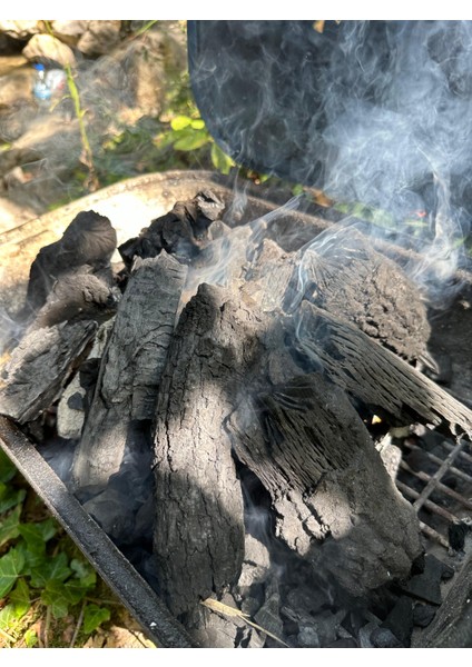 Doğal Meşe Mangal Kömürü BBQ Özel | Boylanmış | Doğal | 5 Kğ indirimleri