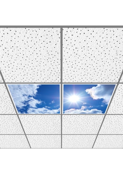 60X60 LED Panel Aydınlatma Armatür Avize Sıva Altı Desenli 1x2 Ikili Grup 46510939SA