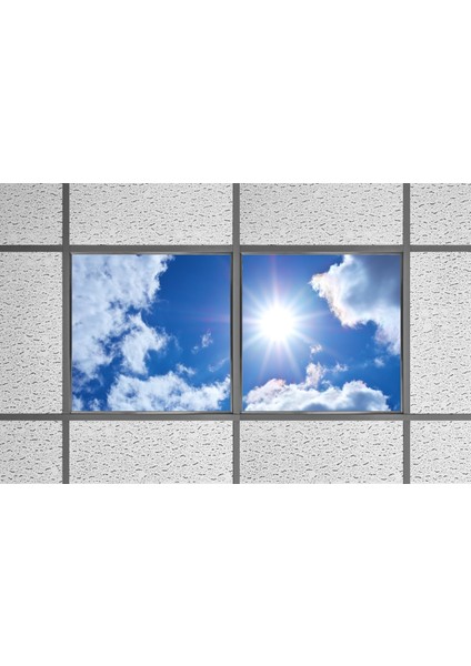60X60 LED Panel Aydınlatma Armatür Avize Sıva Altı Desenli 1x2 Ikili Grup 46510939SA