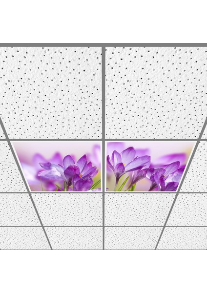 60X60 LED Panel Aydınlatma Armatür Avize Sıva Altı Desenli 1x2 Ikili Grup 46510889SA