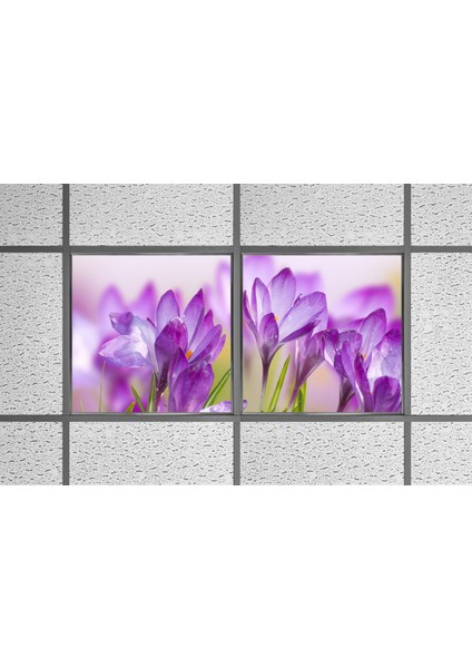 60X60 LED Panel Aydınlatma Armatür Avize Sıva Altı Desenli 1x2 Ikili Grup 46510889SA modelleri