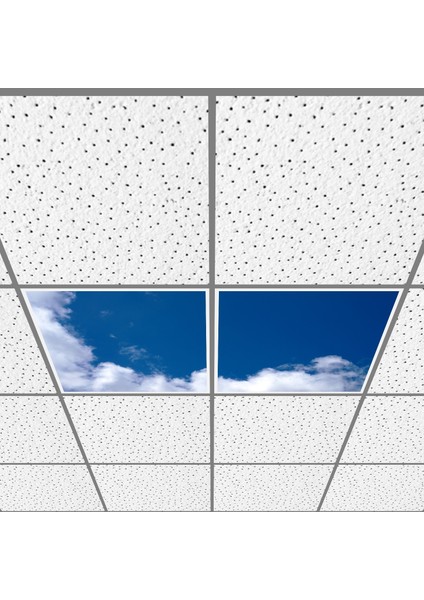 60X60 LED Panel Aydınlatma Armatür Avize Sıva Altı Desenli 1x2 Ikili Grup 46510935SA