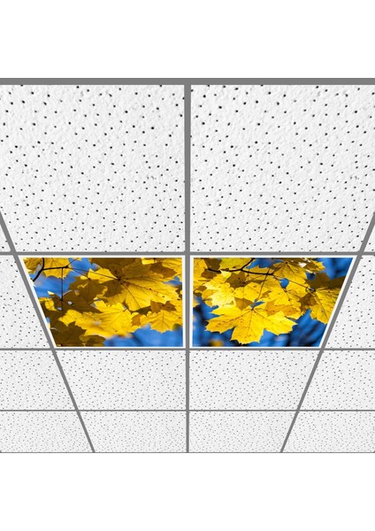 60X60 LED Panel Aydınlatma Armatür Avize Sıva Altı Desenli 1x2 Ikili Grup 46510763SA