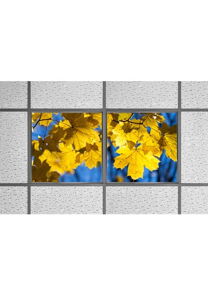 60X60 LED Panel Aydınlatma Armatür Avize Sıva Altı Desenli 1x2 Ikili Grup 46510763SA