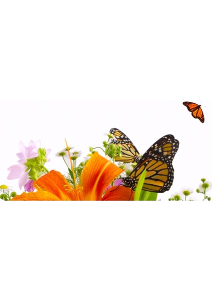 60X60 LED Panel Aydınlatma Armatür Avize Sıva Altı Desenli 1x2 Ikili Grup 46510740SA fırsatları