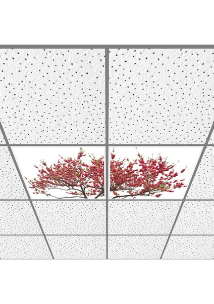 60X60 LED Panel Aydınlatma Armatür Avize Sıva Altı Desenli 1x2 Ikili Grup 46510780SA