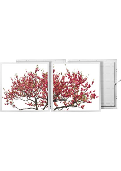 60X60 LED Panel Aydınlatma Armatür Avize Sıva Altı Desenli 1x2 Ikili Grup 46510780SA