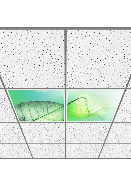 60X60 LED Panel Aydınlatma Armatür Avize Sıva Altı Desenli 1x2 Ikili Grup 46510067SA