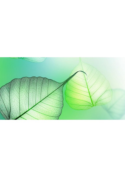 60X60 LED Panel Aydınlatma Armatür Avize Sıva Altı Desenli 1x2 Ikili Grup 46510067SA