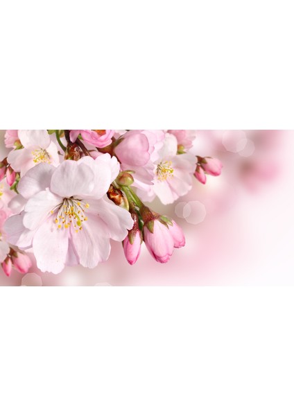 60X60 LED Panel Aydınlatma Armatür Avize Sıva Altı Desenli 1x2 Ikili Grup 46510136SA fırsatları