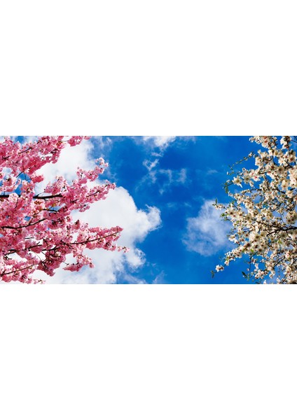 60X60 LED Panel Aydınlatma Armatür Avize Sıva Altı Desenli 1x2 Ikili Grup 46511079SA fırsatları
