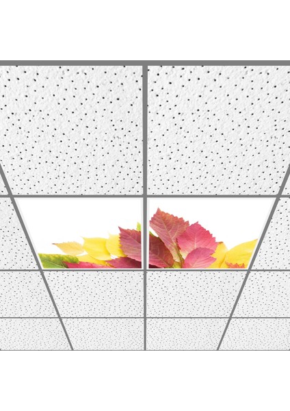 60X60 LED Panel Aydınlatma Armatür Avize Sıva Altı Desenli 1x2 Ikili Grup 46510979SA