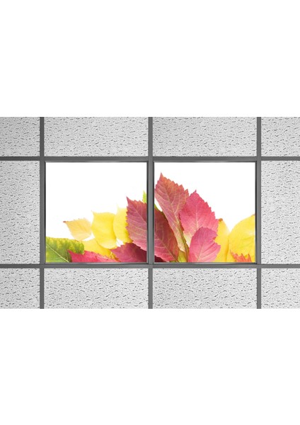 60X60 LED Panel Aydınlatma Armatür Avize Sıva Altı Desenli 1x2 Ikili Grup 46510979SA