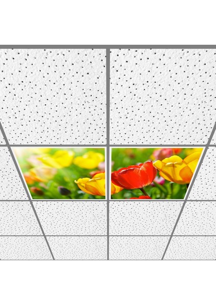 60X60 LED Panel Aydınlatma Armatür Avize Sıva Altı Desenli 1x2 Ikili Grup 46511119SA