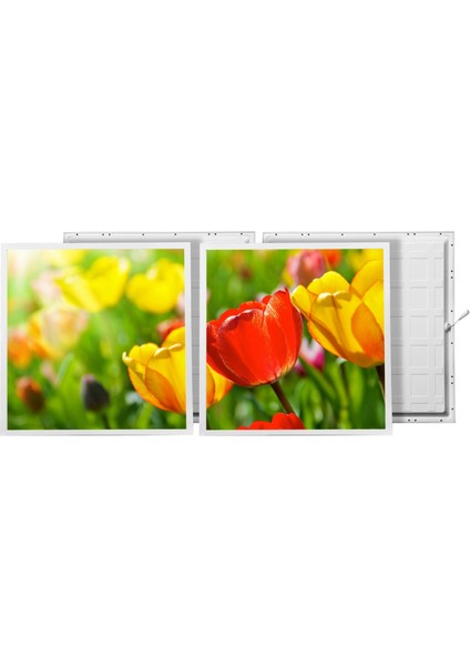60X60 LED Panel Aydınlatma Armatür Avize Sıva Altı Desenli 1x2 Ikili Grup 46511119SA