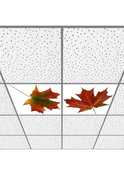 60X60 LED Panel Aydınlatma Armatür Avize Sıva Altı Desenli 1x2 Ikili Grup 46511142SA