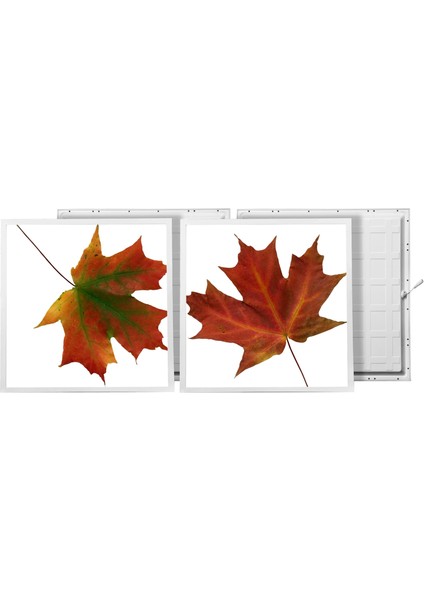 60X60 LED Panel Aydınlatma Armatür Avize Sıva Altı Desenli 1x2 Ikili Grup 46511142SA